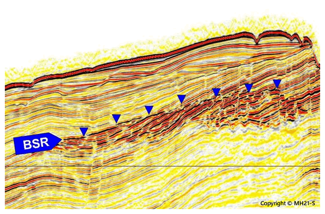 Fig.1 BSR that appeared in a seismic survey record