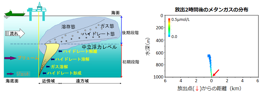 シミュレーションの概念（左）と計算結果例（右）